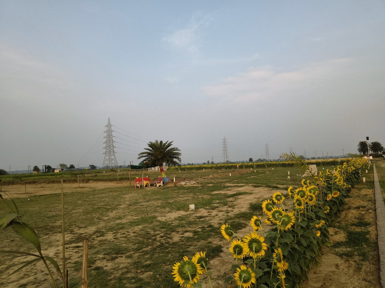 Garden Bloom — Landscape Detail
