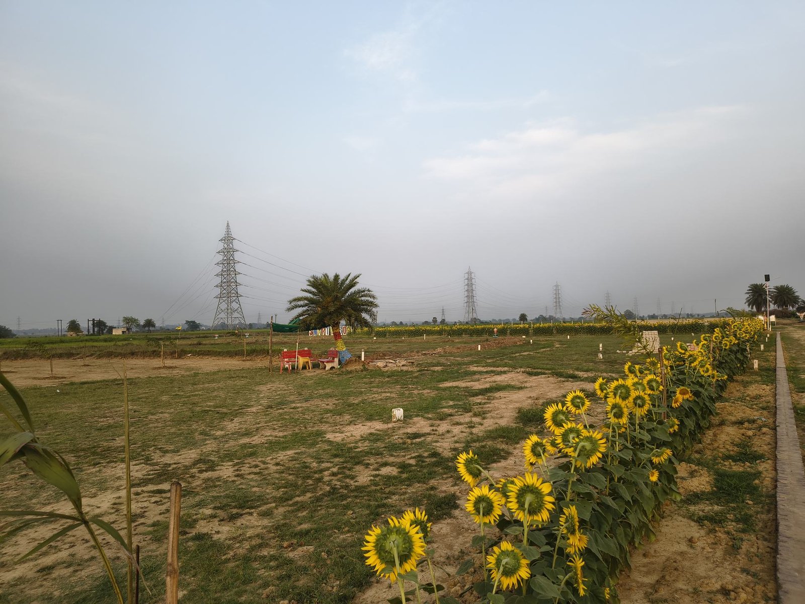 Flowering Gardens