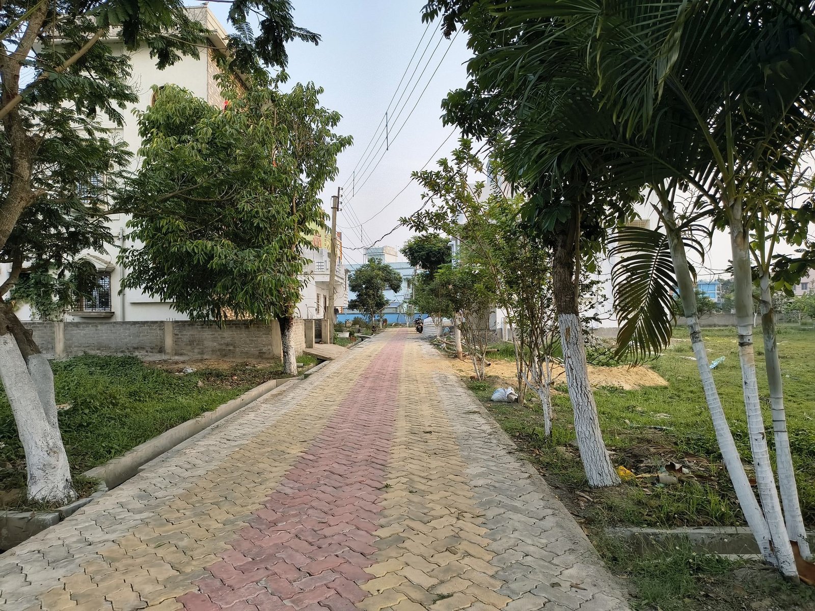 Glass Boulevard Walkway