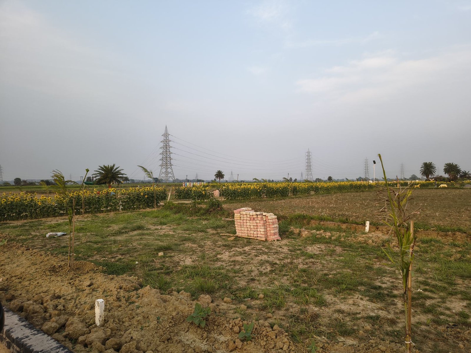 Top Places to Buy Plots in Durgapur